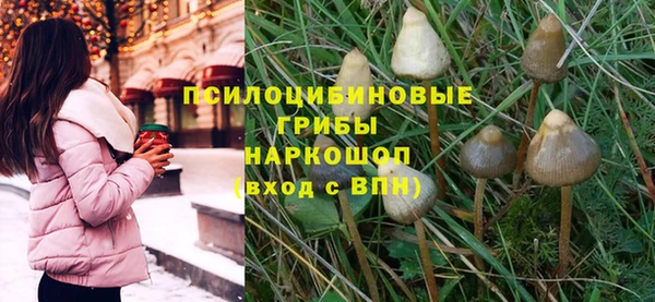 спиды Армянск