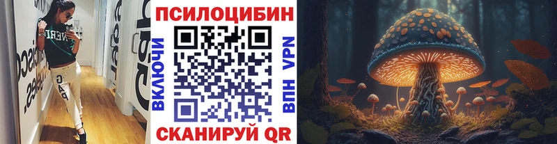 Галлюциногенные грибы мухоморы  цены наркотик  Удомля 